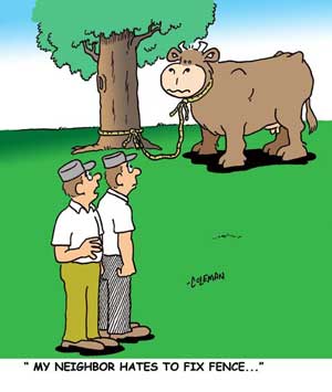 funny 
cartoons