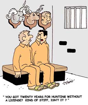 funny 
cartoons