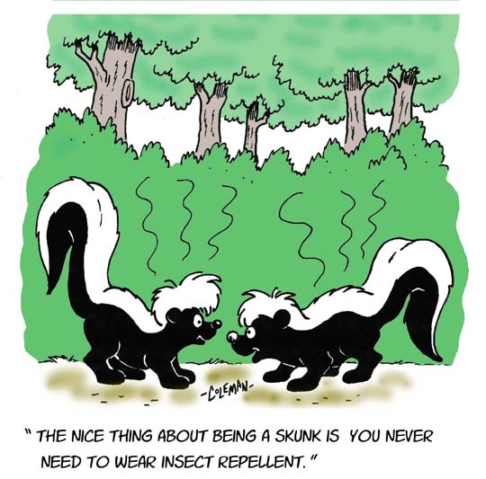 funny 
cartoons
