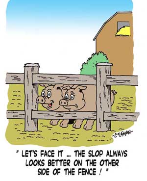 funny 
cartoons
