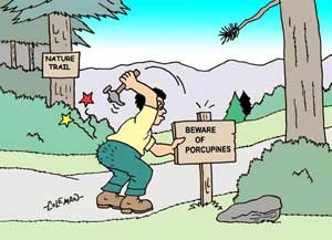 funny 
cartoons
