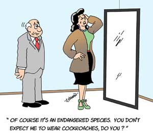 funny 
cartoons