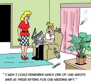 cat 
cartoons