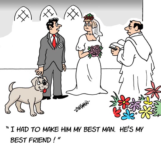 Funny Wedding Cartoons