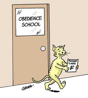 http://www.colemantoons.com/images/277.jpg