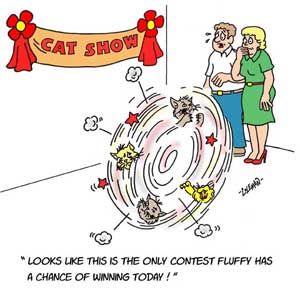 cat 
cartoons