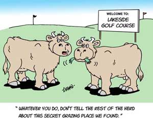 funny 
cartoons