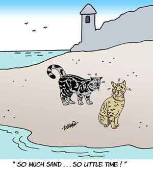 cat 
cartoons
