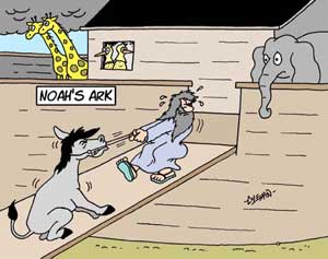 Noah