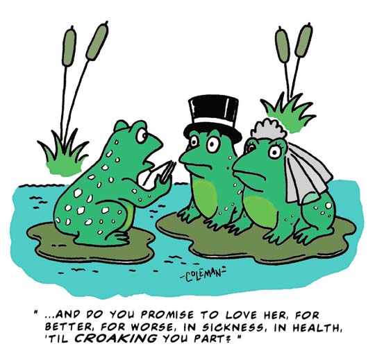 funny 
cartoons
