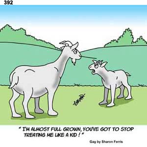 funny 
cartoons