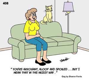cat 
cartoons