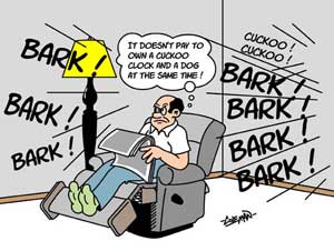 funny 
cartoons