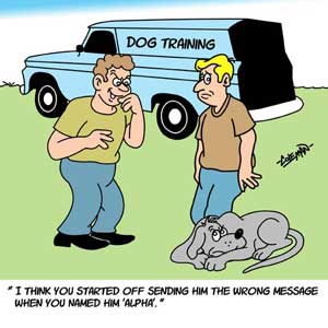 funny 
cartoons
