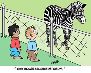 funny 
cartoons