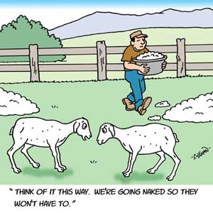 funny cartoons
