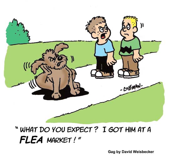 funny 
cartoons