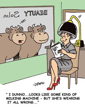 funny 
cartoons