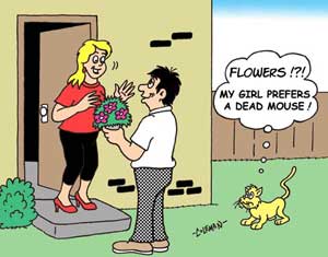cat 
cartoons