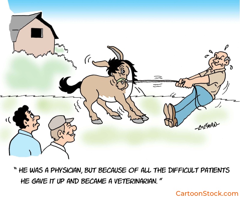 animal cartoon, farm animal cartoon, farm cartoon, donkey cartoon, veterinary cartoons, veterinarian cartoon, medical cartoon