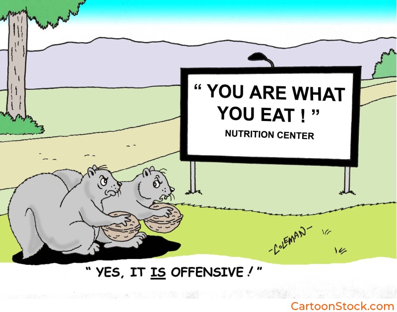 animal cartoon, wild animal cartoon, wildlife cartoon, squirrel cartoon, cartoon about nuts, nutrition cartoon, 
diet cartoon, advertising cartoon, advertising billboards cartoon