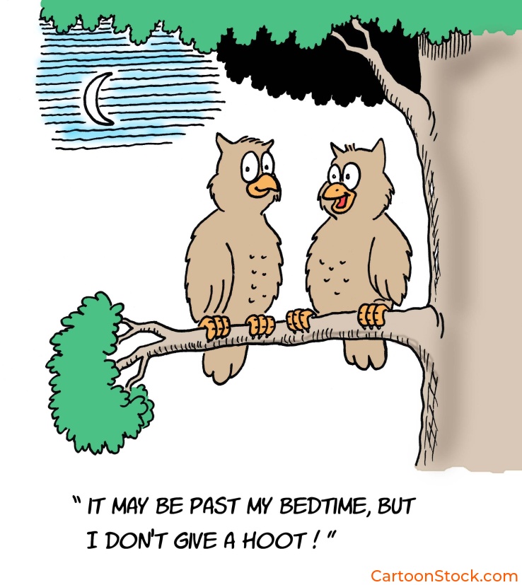cartoon about
an owl who doesn't give a hoot about bedtime