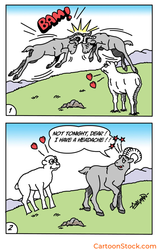cartoon about
a mountain goat who is not in an amorous mood
