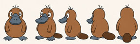 Wacky Platypus