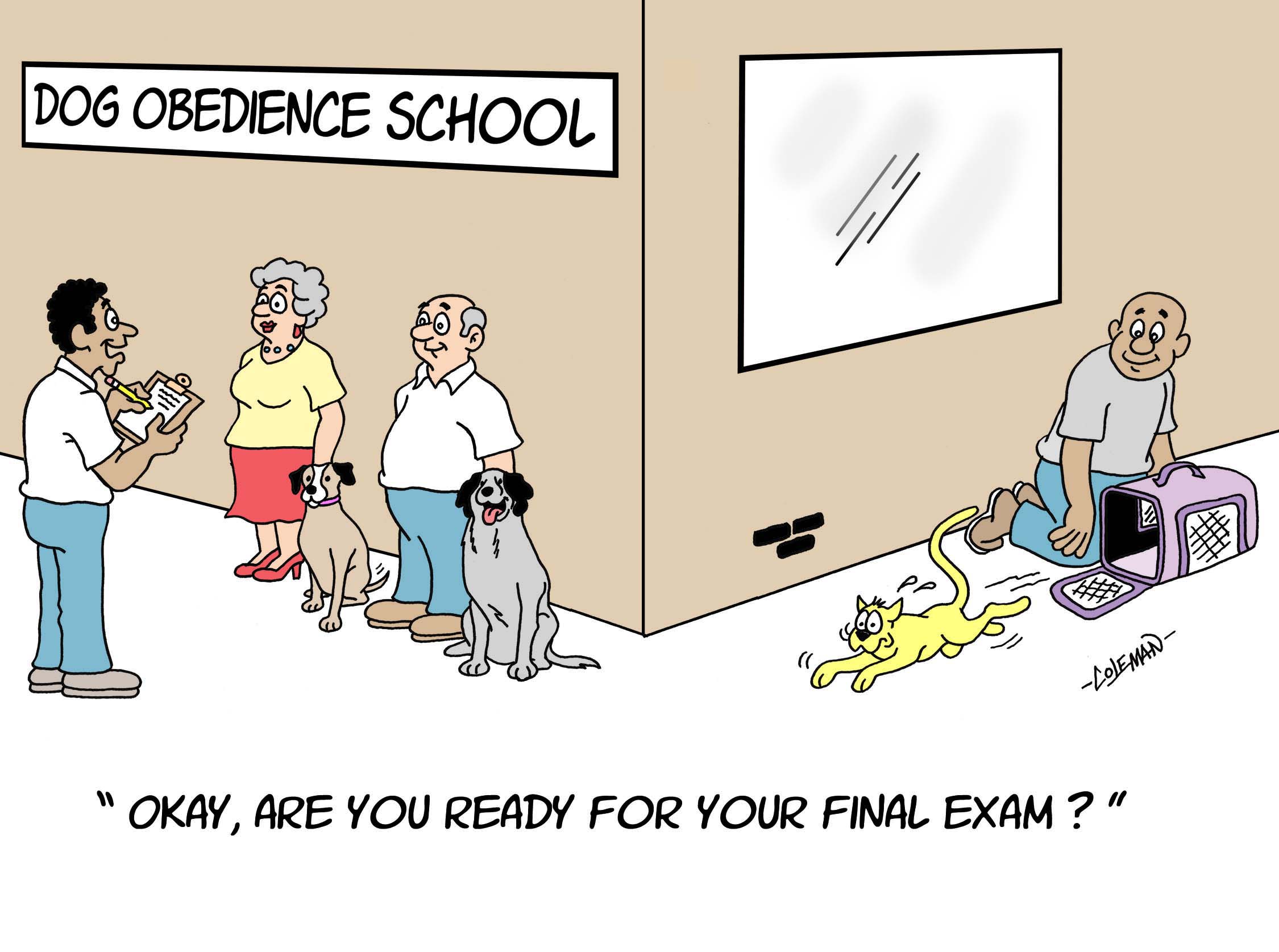 Stock gag cartoon about a final exam for a dog obedience school